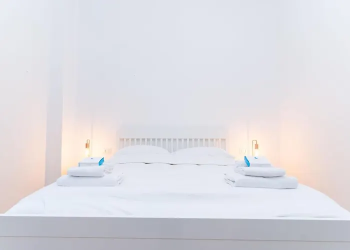 Downtown With Terrace And Garage Apartment