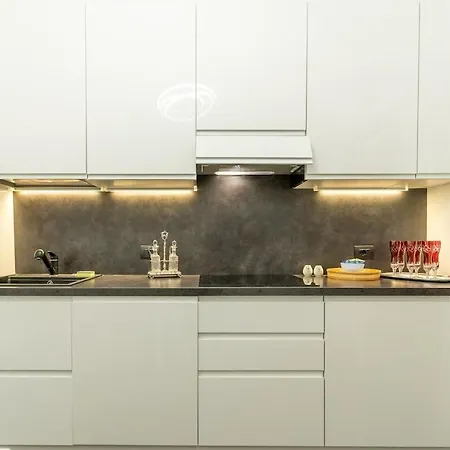 Downtown With Terrace And Garage *