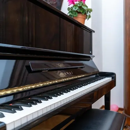 Downtown With Terrace And Garage *